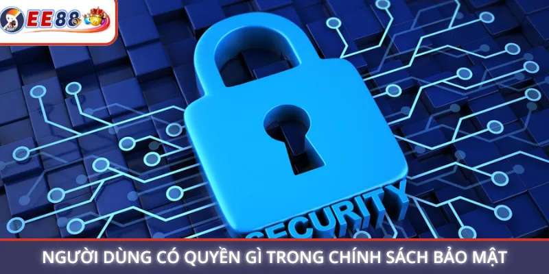 Người dùng có quyền gì trong chính sách bảo mật